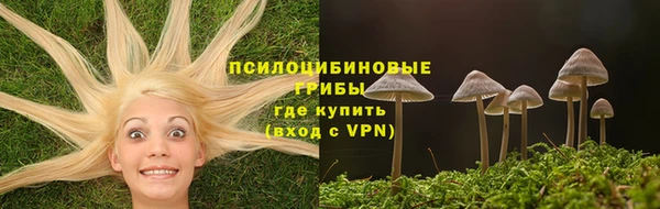 кокс Нея