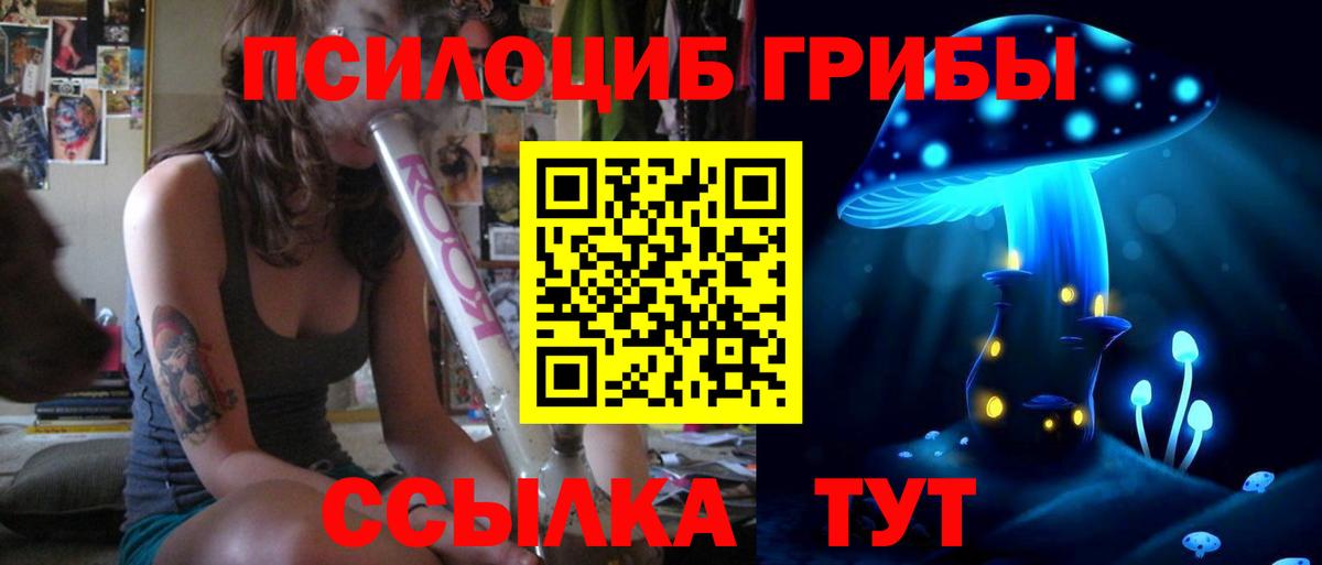 Псилоцибиновые грибы Psilocybe  Вход с VPN  Псилоцибиновые грибы Psilocybe  Саратов 